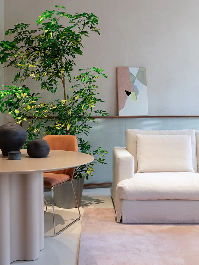 Saba Flagship Store | Saba